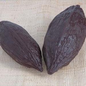 Stampo Frutto del cacao medio