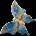 Farfalla