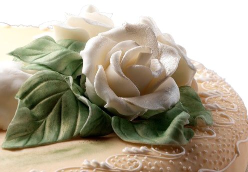 stampi a forma di foglie di cioccolato