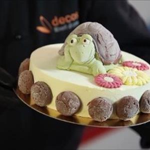 Stampo Tartarugo Turbo