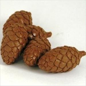 Stampo Pigne