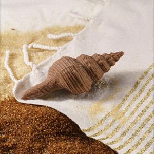 Stampo Conchiglia Ranella Olearium