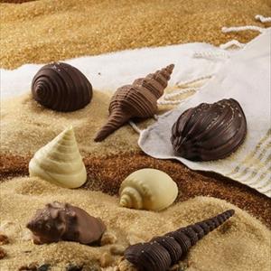 Stampo Conchiglia Ranella Olearium