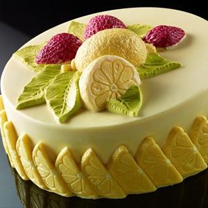 Stampo Torta Gelato Fragola Limone