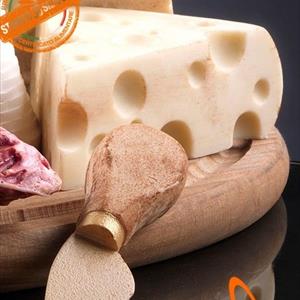 Stampo Emmenthal
